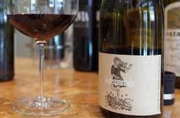 salvis wine&records