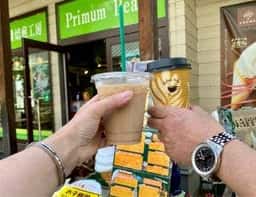 プリムビーンズ