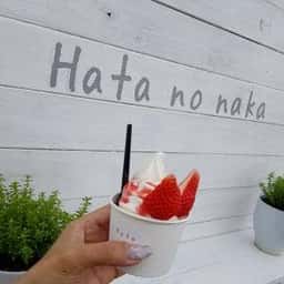 Hata no naka