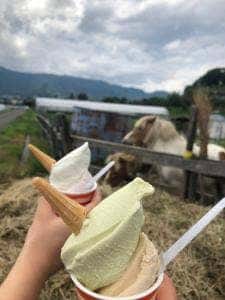 信州 みのわ愛す工房