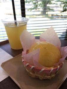 スールポッシュ