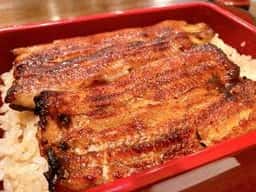 新宿 うなぎ菊川