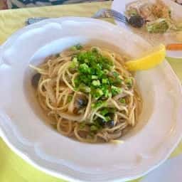 キャナリィ ロウ 日名橋店