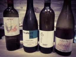 Wine shop Duke