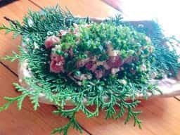 とんぼの森地鶏炭火焼