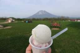 ニセコ髙橋牧場 ミルク工房