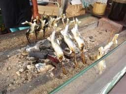 鮎の駅 石田踊店