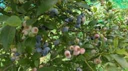 こだわりとんかつ カツ陣 山陽店