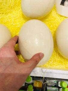 道の駅あさひまち りんごの森 軽食コーナー