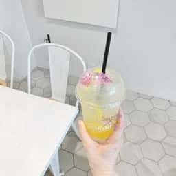 COFFEE&DOG LUSH LIFE