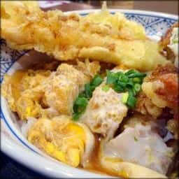 かつてん 桑園イオン店