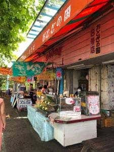 おとぎの国