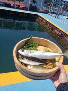 さば料理専門店 SABAR+ おさかな村店