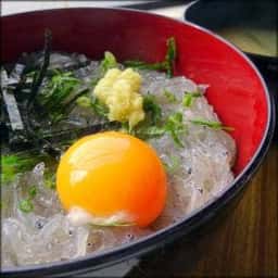 すっつ しらす会館