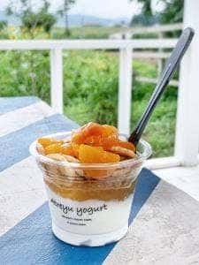 ヨーグルト工房 Atreyu