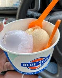 ブルーシール アイスクリーム 福生店BigDip