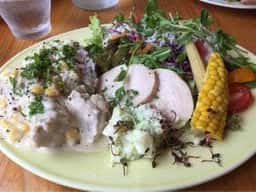 カフェ パルピト