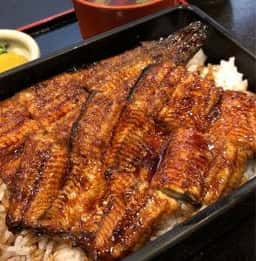 うなぎ料理うな東