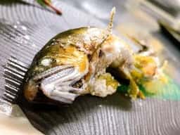 菜の介