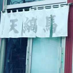 天縞馬