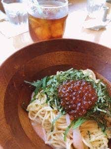ダッキーダック コースカベイサイドストアーズ横須賀店