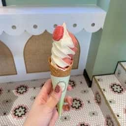 Laduree 御殿場プレミアムアウトレット店