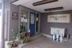 TribalCacao
