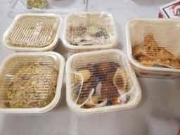 餃子の王将 元町店