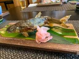鮎と和洋創作料理 さるとび荘