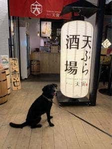 天ぷら 天寅 自由が丘店