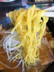 らーめん専科 羅妃焚 総本店