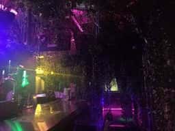 KEMURI-mist jungle-