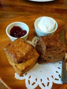 Cafe haru_sakura okamoto