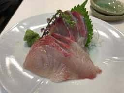 海鮮料理 まぐろ しみず