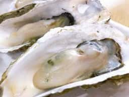 軽食スペース 竹雀庵