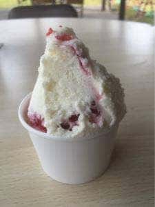 Premium Gelato みるく 道の駅 サシバの里いちかい