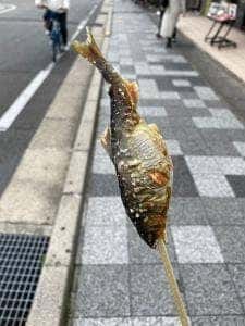 高級川魚・地鶏 嵐山たなか