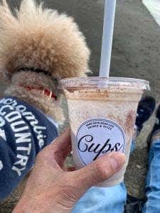 CUPS kamakura
