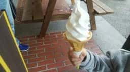 Honey Dew
