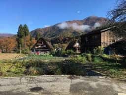 花水木白川