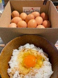 たかたのたまご