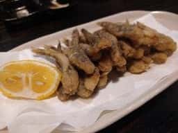 美食鳥