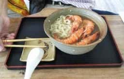 おいシーサー遇
