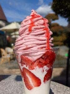 オルソンさんのいちご