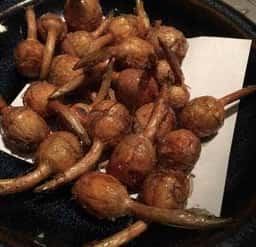 太宰津軽体感居酒家