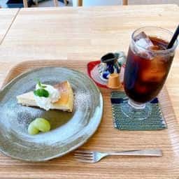 カメカメキッチン