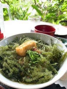 山の茶屋・楽水