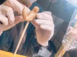 なにわ食いしんぼ横丁