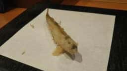 天麩羅 くろさわ