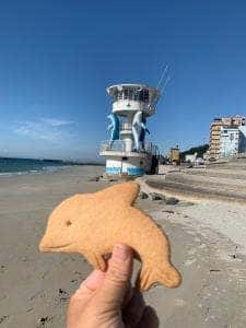 市太樓アルザス